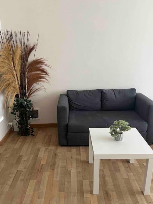 Belgielei 94 Apartment Antwerp Exterior photo